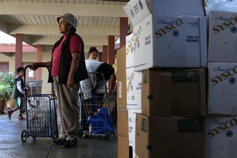 A person sharing their success story of receiving food stamps as a homeowner