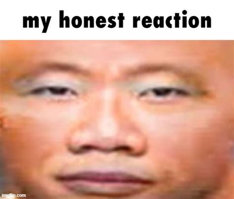 Honest Reaction Template Image 8