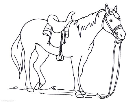 Horse coloring pages for kids to print