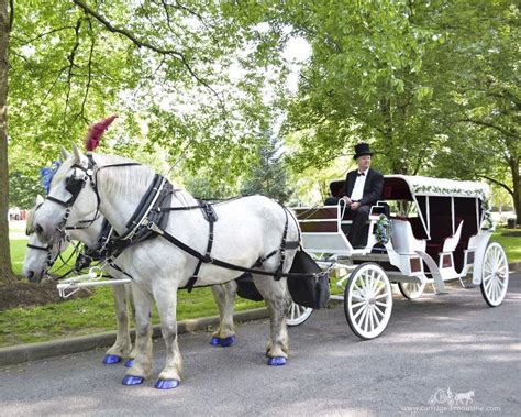 Horse-Drawn Carriage