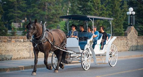 Horse-Drawn Carriage Ride