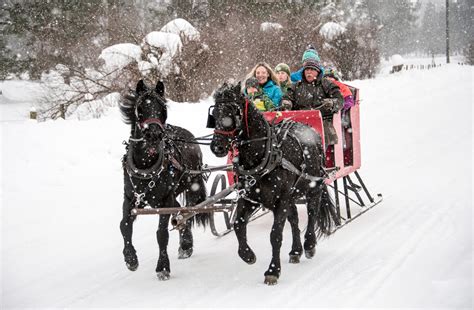 Horse-Drawn Sleigh Ride