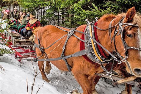 Horse-Drawn Sleigh Ride