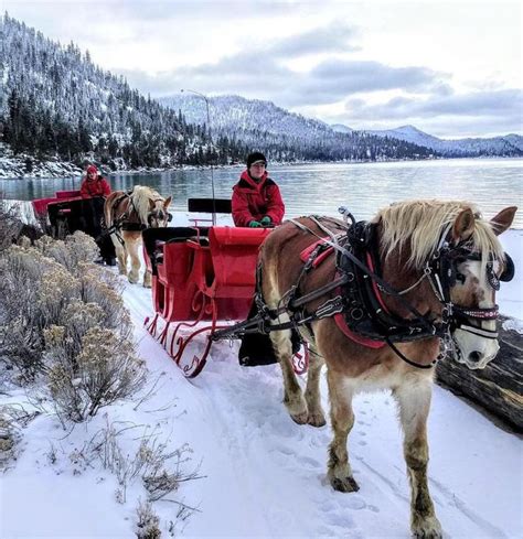 Horse-Drawn Sleigh Ride at Lake Tahoe