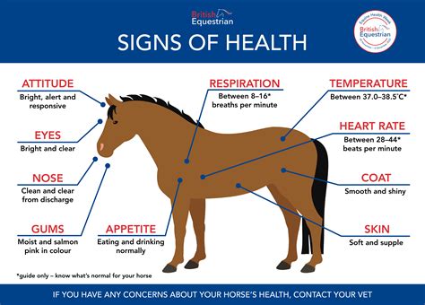 Description of Horse Health