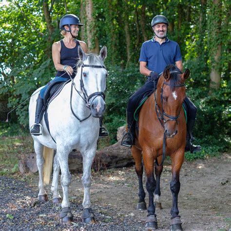 Horse Riding Lessons for Adults