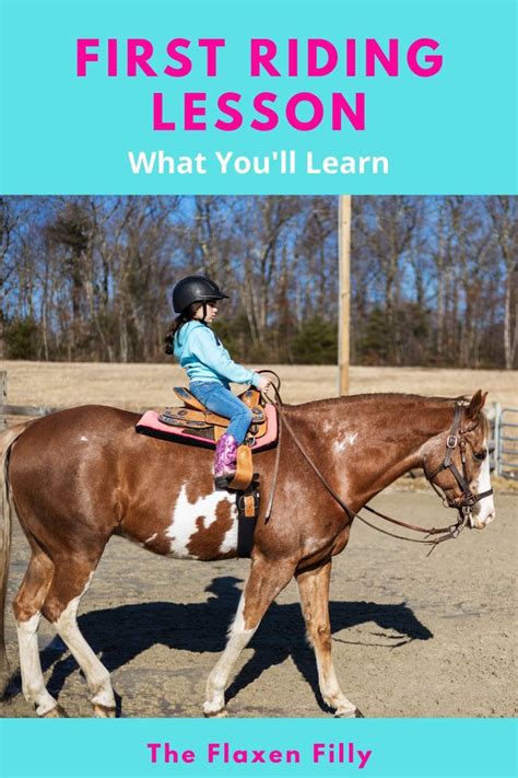 Horse Riding Lessons for Beginners