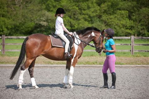 Horse Riding Lessons for Children