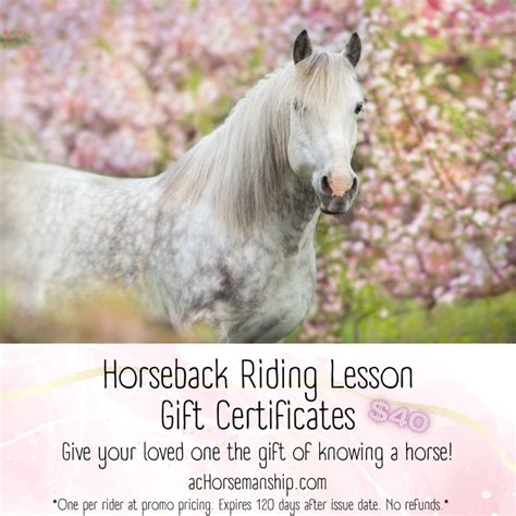 Horse Riding Lessons Gift Certificate