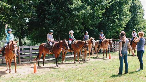 Horse Riding Lessons Group