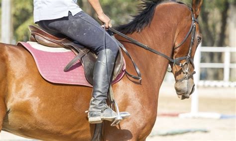 Horse Riding Lessons Private