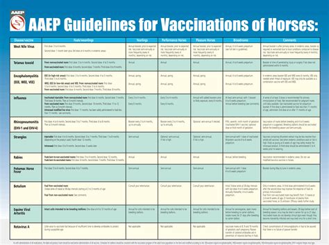 Horse worming template example 8