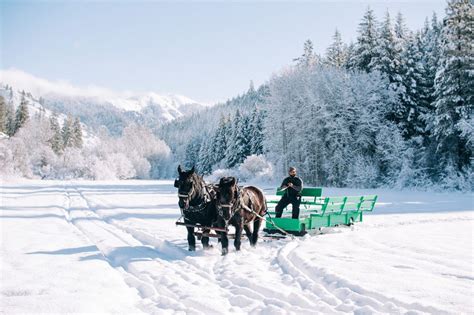 Horseback riding in George Washington Management Area