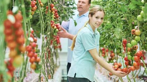 Horticulturist at work