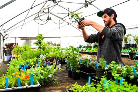 Horticulturist in park