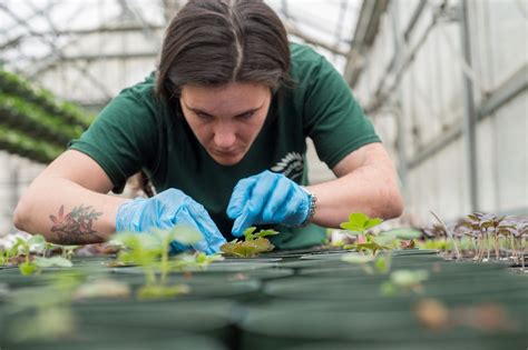 Horticulturist with plants