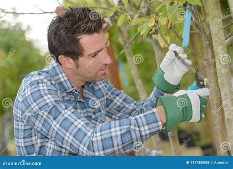 Horticulturist with trees