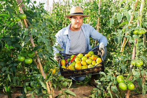 Horticulturist with vegetables