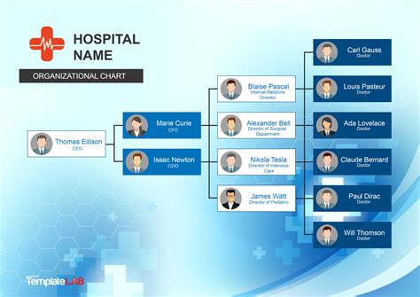 Hospital Organizational Chart Template