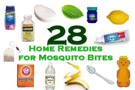 Household Items for Mosquito Bites