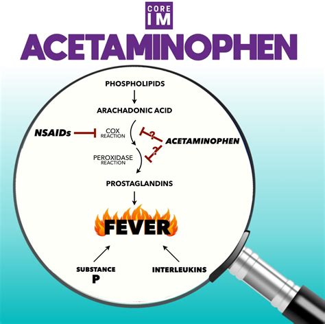 Acetaminophen Mechanism