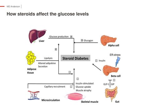 How Steroids Affect Sugar Levels