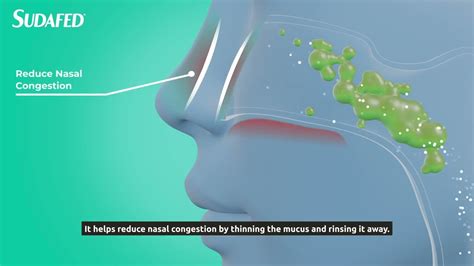 How Sudafed Works