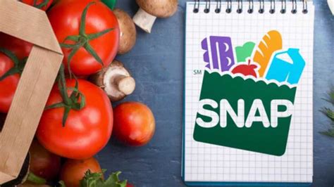 How to Apply for SNAP Benefits SC