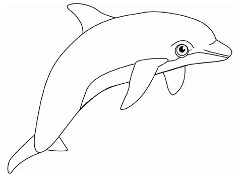 How to Use Dolphin Coloring Pages for Kids