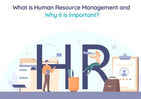 HR Management and Salary Insights