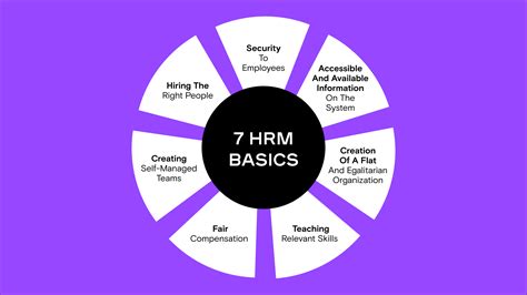 HR Management Best Practices for Salary Insights