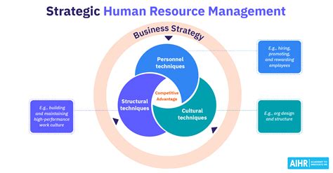 HR Management Strategy for Salary Insights