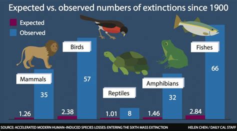 Human activities are driving extinction risk