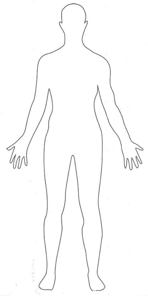 Human Body Template Outline