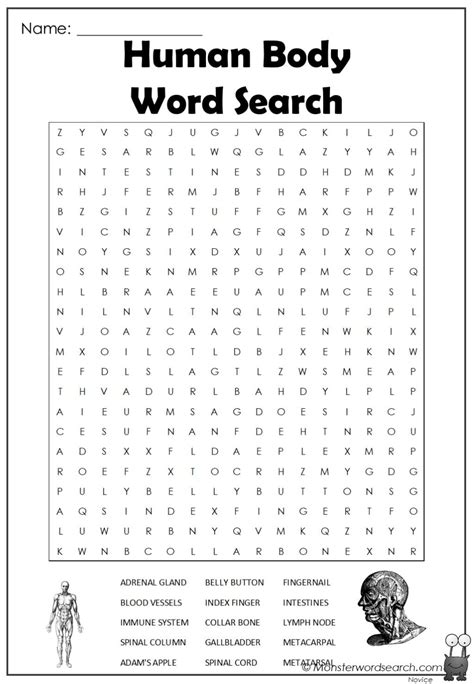 Human Body Word Search