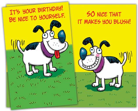 Humorous Birthday Greeting Cards for Kids and Adults