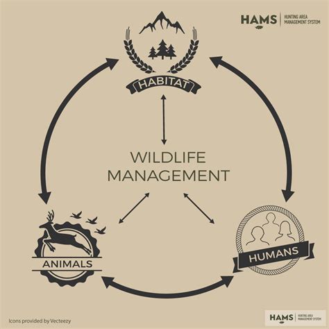 Hunting and Wildlife Management