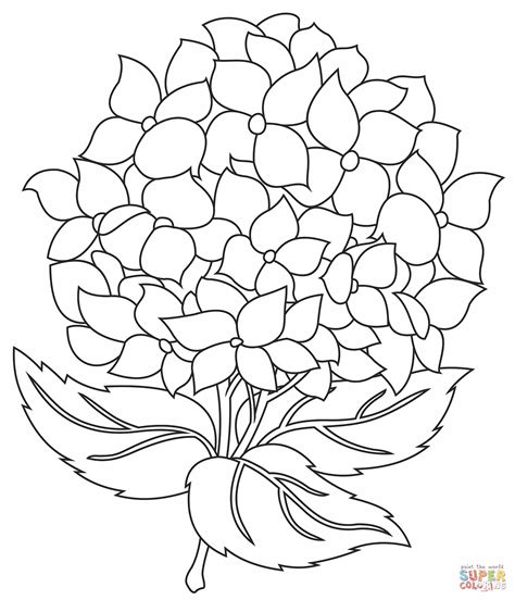 Hydrangea Printable Template