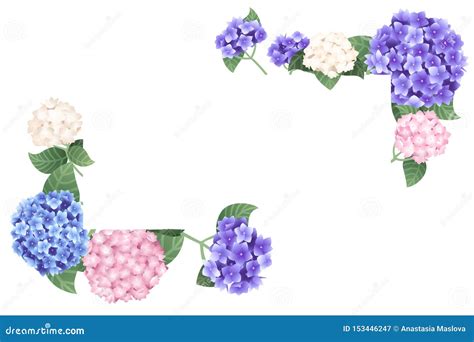 Hydrangea Template