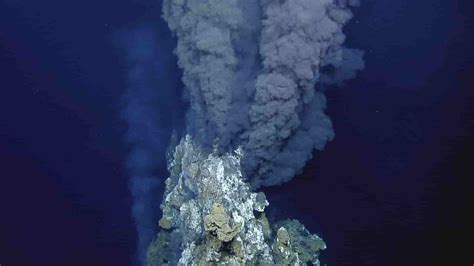 Hydrothermal Vent Ecosystem