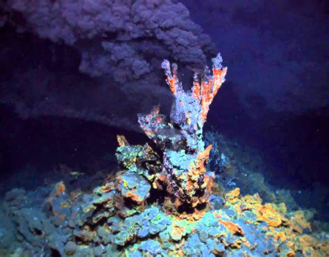 Hydrothermal Vents