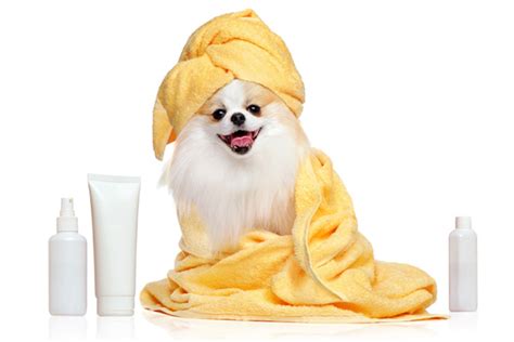 Hygiene products for pets