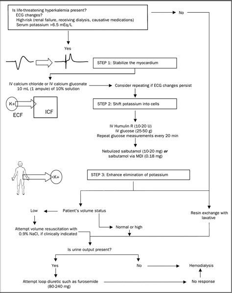 Managing Hyperkalemia System Disorder