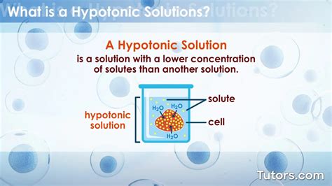 Hypotonic Solution Diagram