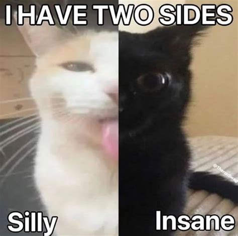 I Have 2 Sides Meme Gallery 4