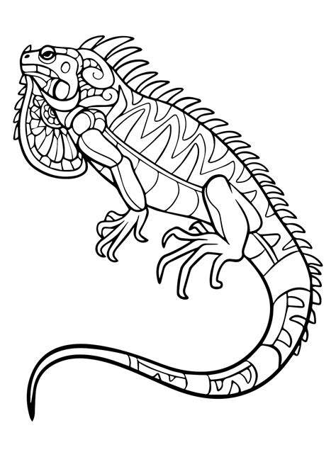 Iguana Coloring Page