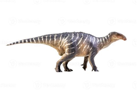 Iguanodon Template for Kids