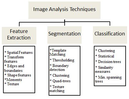 Image Analysis Techniques