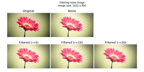 Image Filtering