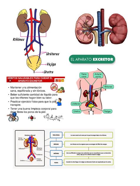 Utiliza imágenes y símbolos que te inspiren